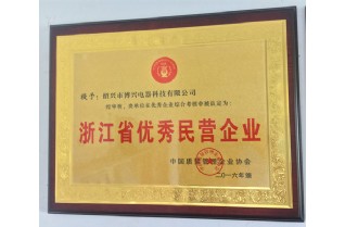 浙江省优秀民营企业